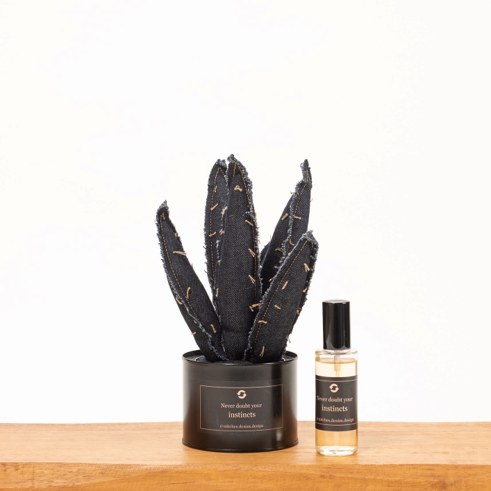 cactus scent diffuser - type Unit