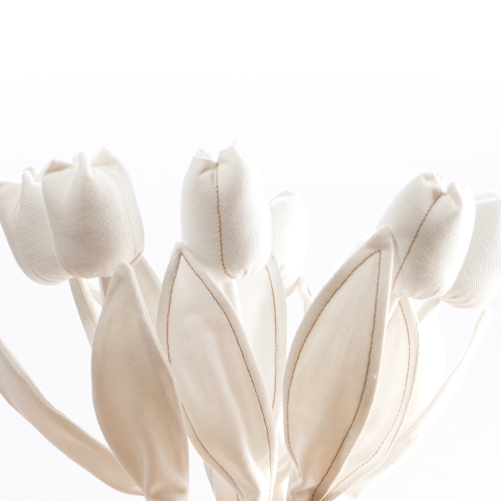 five white denim tulips