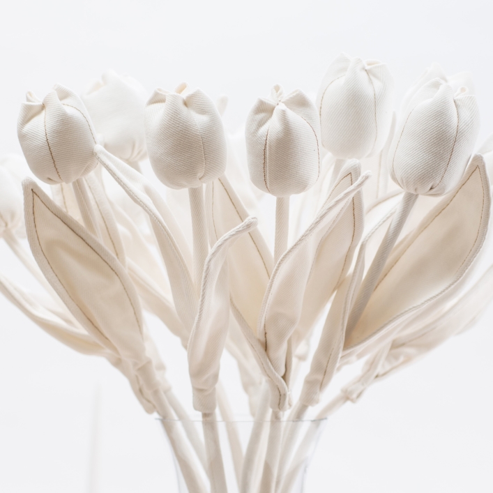 ten white denim tulips