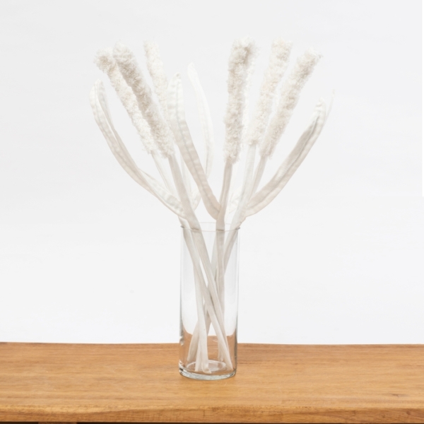 seven white denim cattail