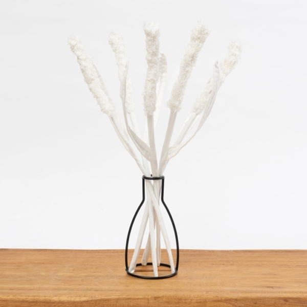 מארז 5 פרחים לבנים מגינס מסוג קנה סוף White Cattail