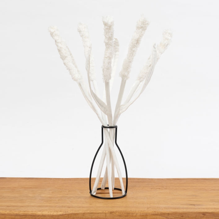 מארז 5 פרחים לבנים מגינס מסוג קנה סוף White Cattail