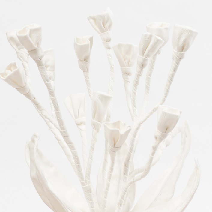 פרח לבן מגינס מסוג פעמונית White Bellflower
